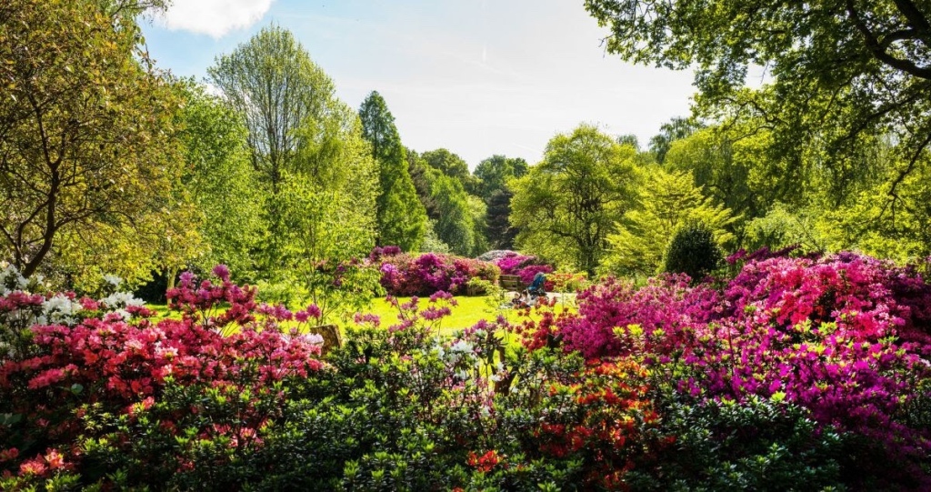 London’s Most Beautiful Parks for a Summer Picnic