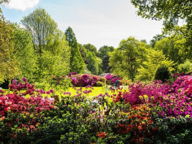 London’s Most Beautiful Parks for a Summer Picnic